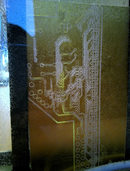 20110517_017b.jpg